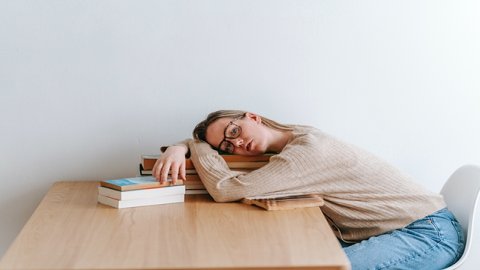 香港公司能入駐來贊達(dá)嗎？ 