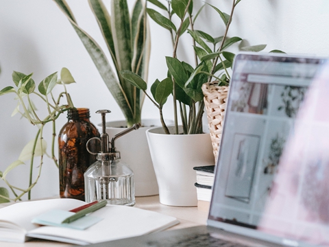 全面解析:中國香港的稅收體制及優(yōu)勢 全面解析:中國香港的稅收體制及優(yōu)勢