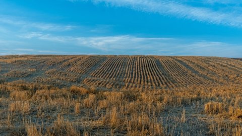 速賣通常用的跨境物流方法有那些