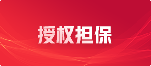 國際專利服務(wù)二