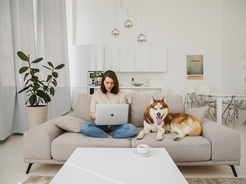 如何注冊(cè)柬埔寨公司？