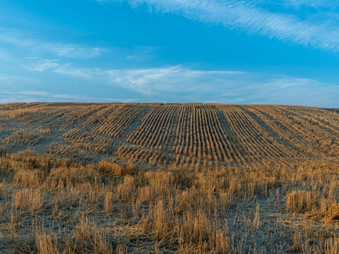 自己注冊(cè)商標(biāo)和商標(biāo)代理機(jī)構(gòu)注冊(cè)商標(biāo)有何區(qū)別 自己注冊(cè)商標(biāo)和商標(biāo)代理機(jī)構(gòu)注冊(cè)商標(biāo)有何區(qū)別